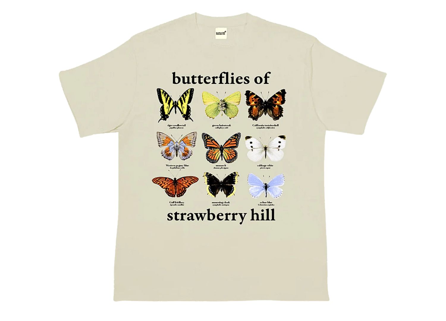 Strawberry Hill Philosophy Club Butterflies Of Strawberry Hill Tee Cream