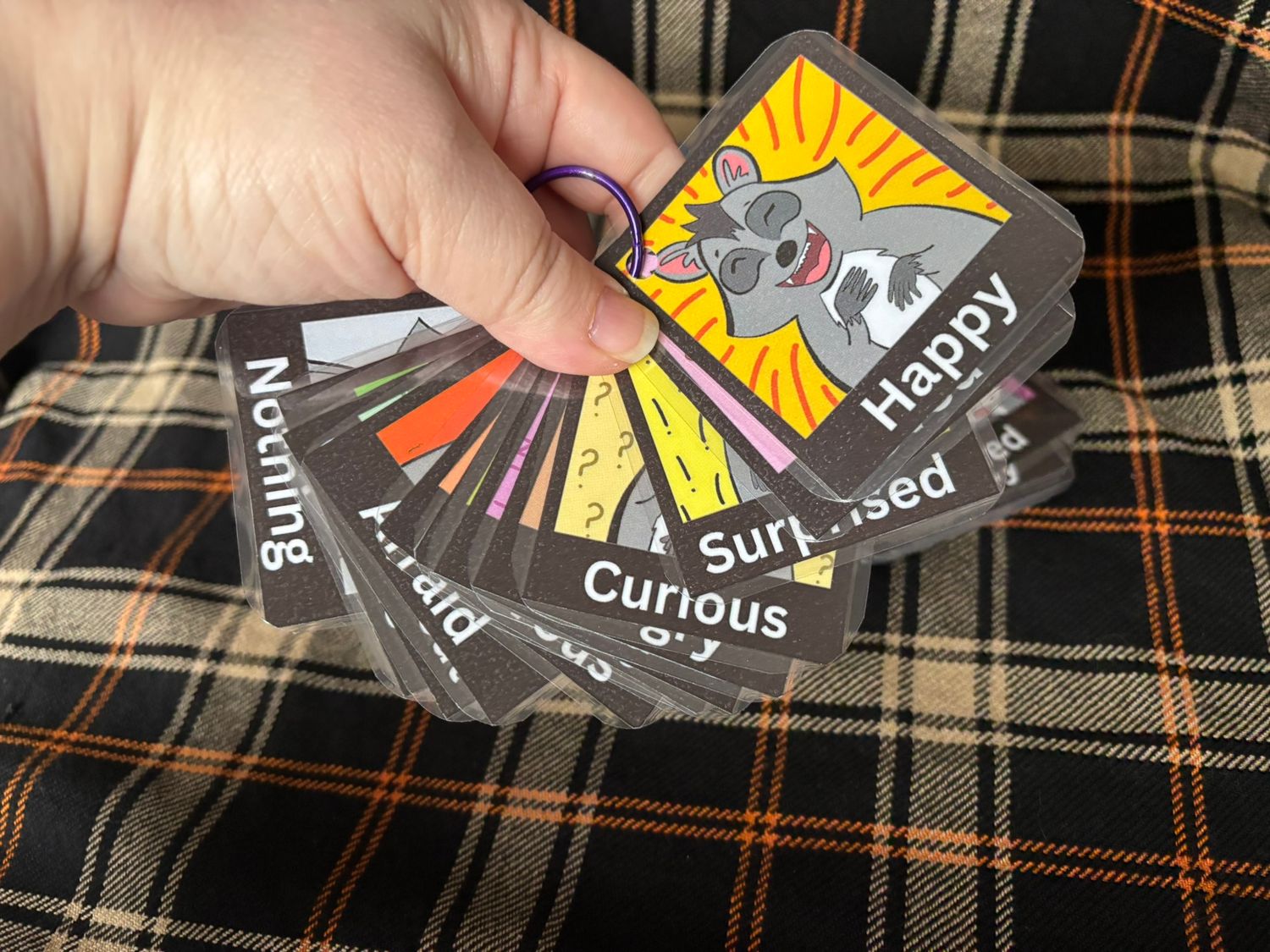 Raccoon Feelings Flashcards