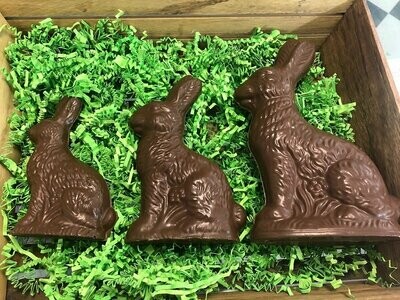 Chocolate Easter Bunnies (5 sizes)