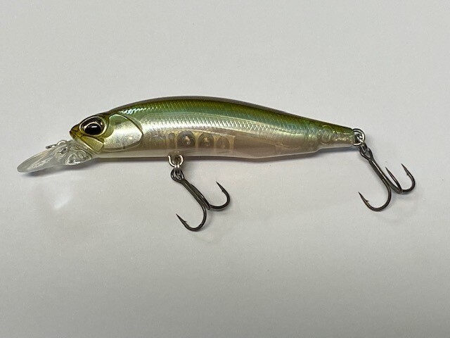 Realis Rozante SP
