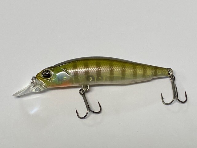 Realis Rozante SP