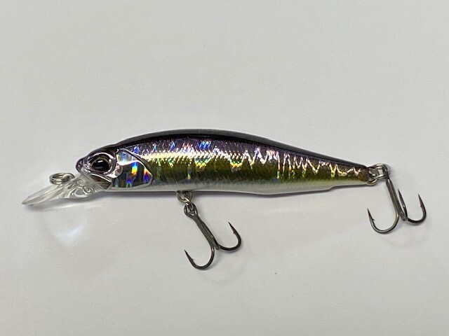 Realis Rozante SP