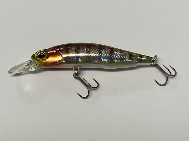 Realis Rozante SP