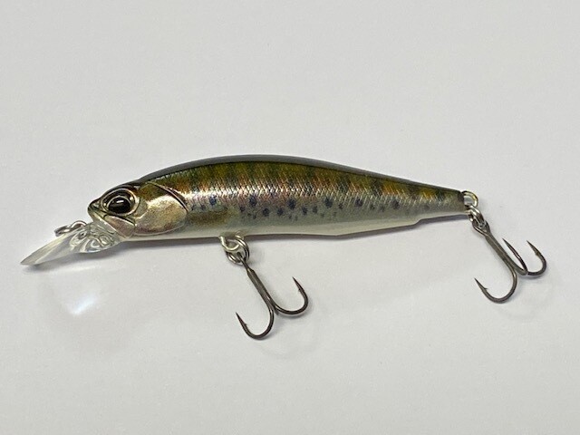 Realis Rozante SP