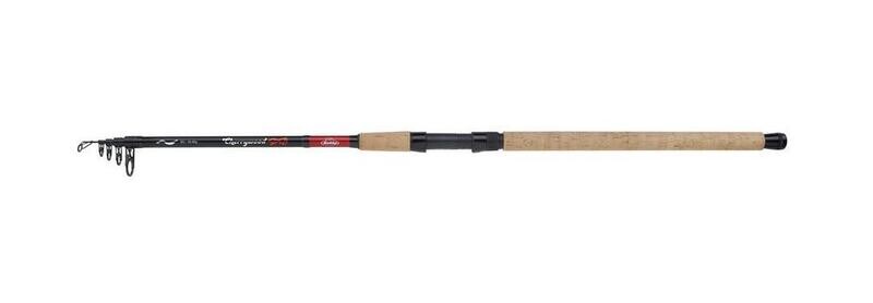 Berkley Cherrywood Spezi Eel Tele 3.0m 21-50gr.