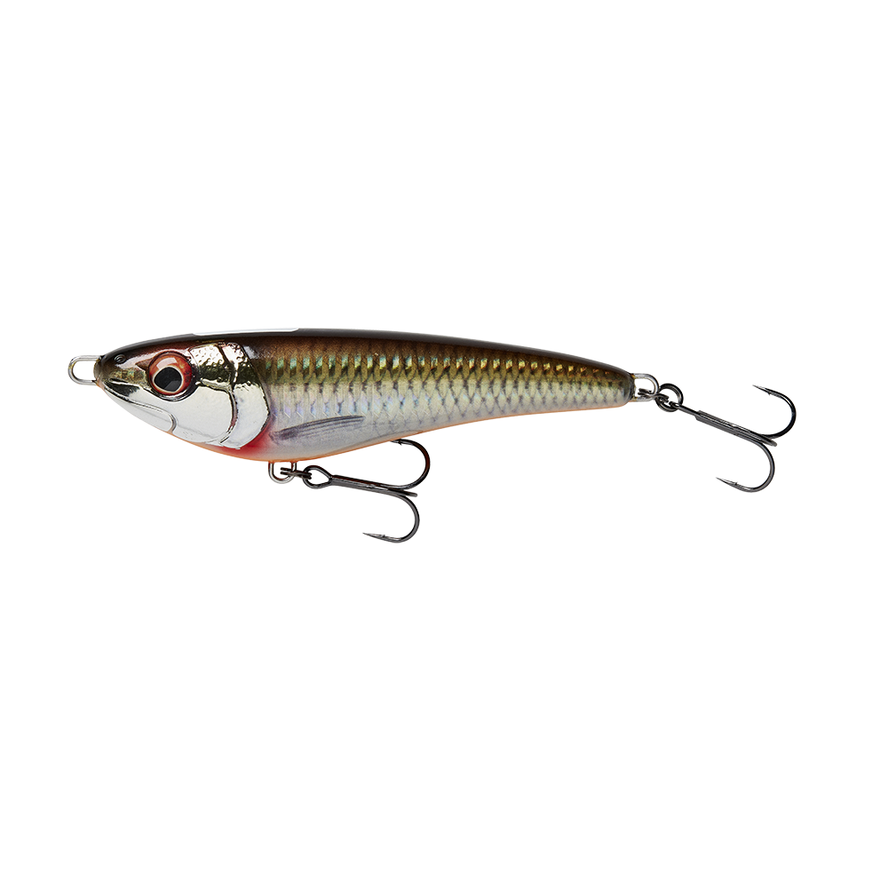 FREESTYLER V2 11CM 28G SLOW SINK DIRTY ROACH
