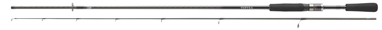 Daiwa TATULA XT SPIN 2.03M 3.5-21g extra fast 125Gramm