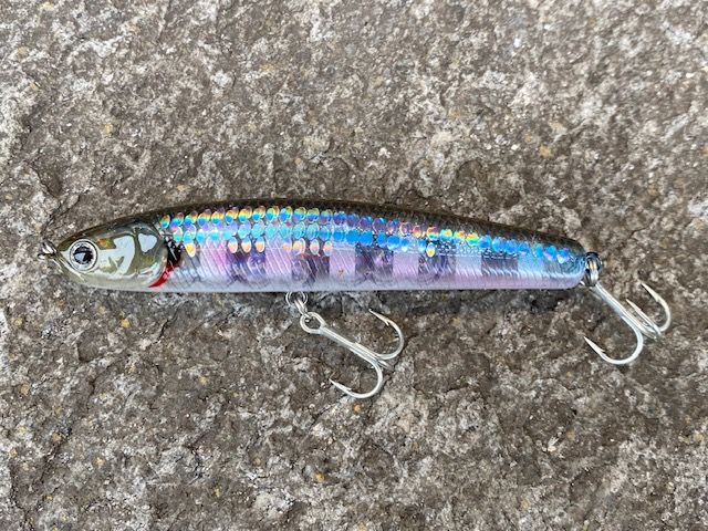 LuckyCraft SW Wander 95Sinking 21gr.