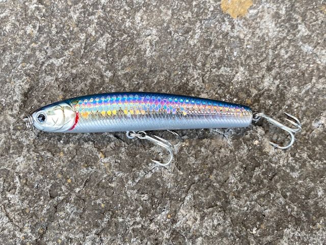 LuckyCraft SW Wander 95Sinking 21gr.