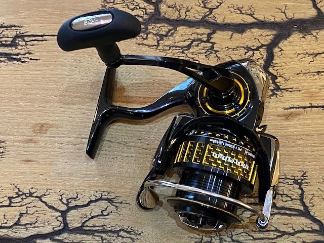 Daiwa Morethan 2510PE-H