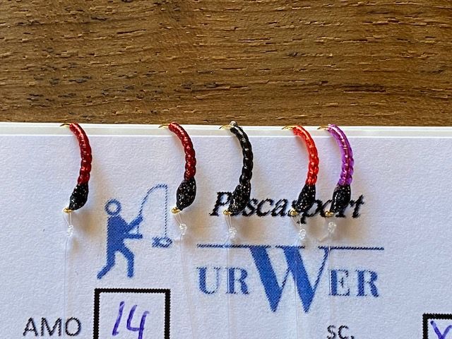 Tessinerhegene 14er Felchenhegene E