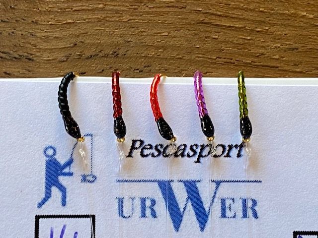 Tessinerhegene 14er Felchenhegene A
