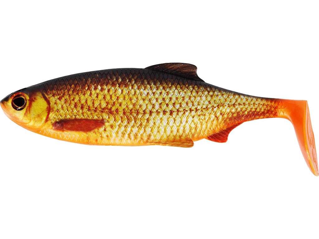 RICKY THE ROACH SHADTAIL Real Rudd