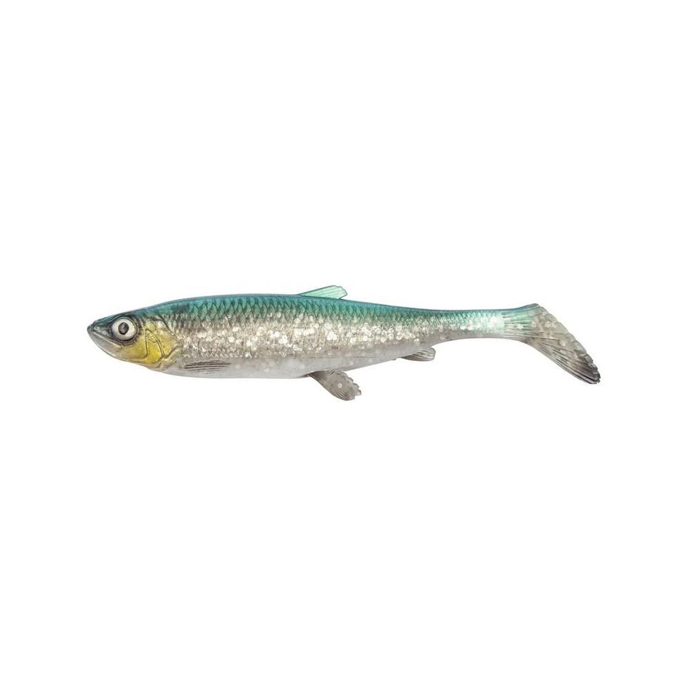 3D Herring Shad V2