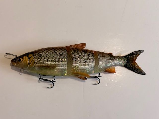 3D LT Whitefish ( Felche ) 36cm/478g