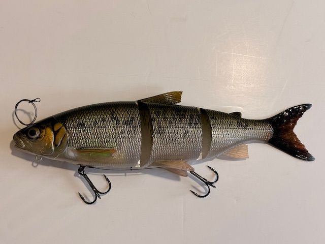 3D LT Whitefish ( Felche ) 36cm/478g
