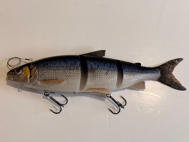 3D LT Whitefish ( Felche ) 36cm/478g