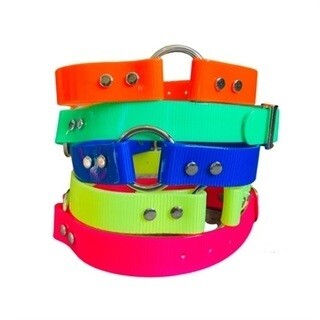 1" Wide Day-Glo Collar