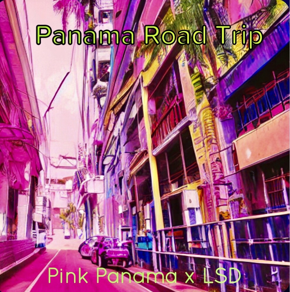 Pink Panama Trip