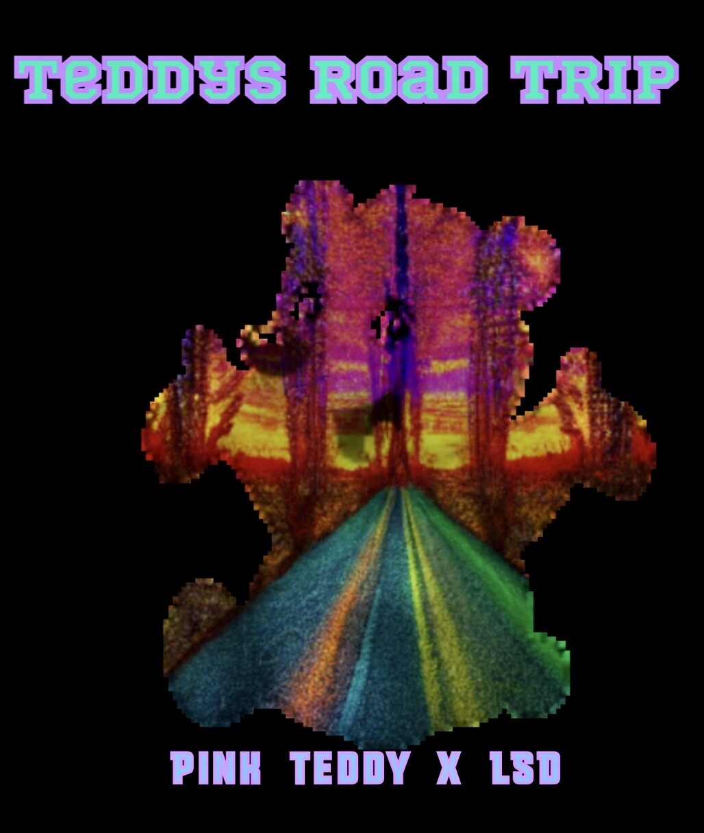 Teddy’s Road Trip