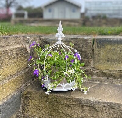 Crown Caged Cloche