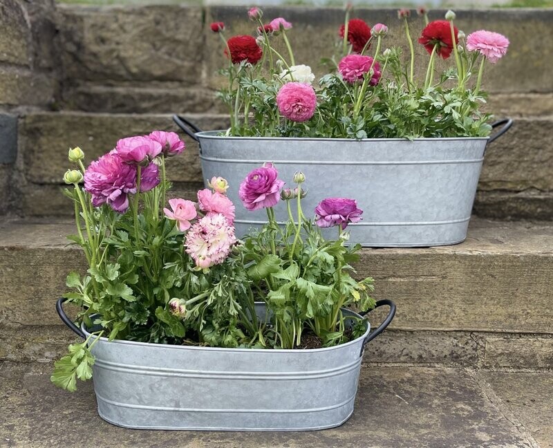 Aged Zinc Troughs