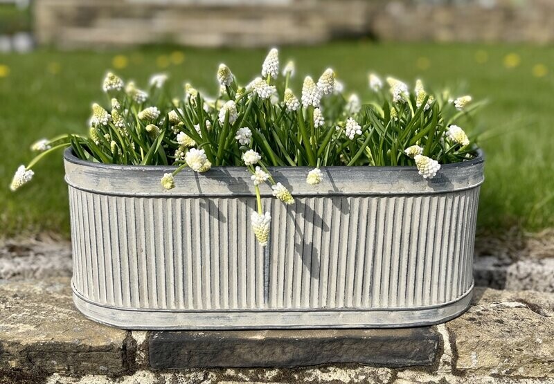 Vintage Trio Trough Set