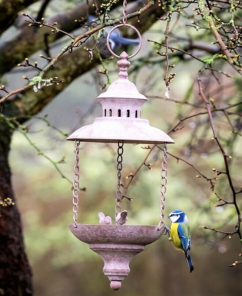 Lantern Birdfeeder
