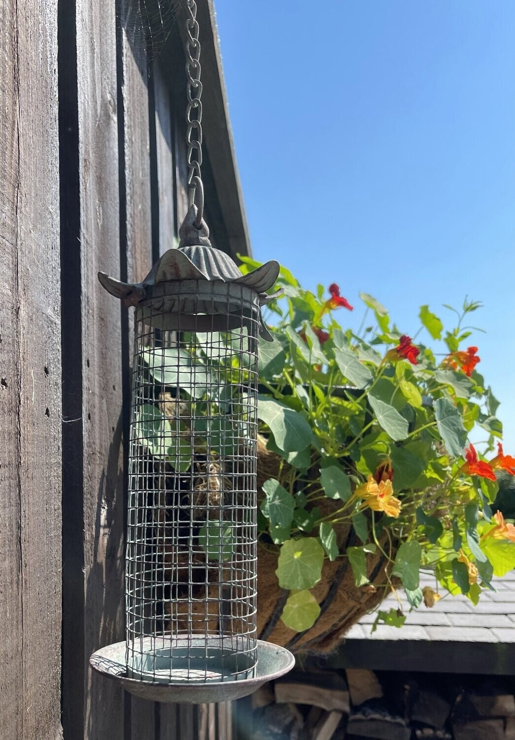 Pagoda Bird Feeder