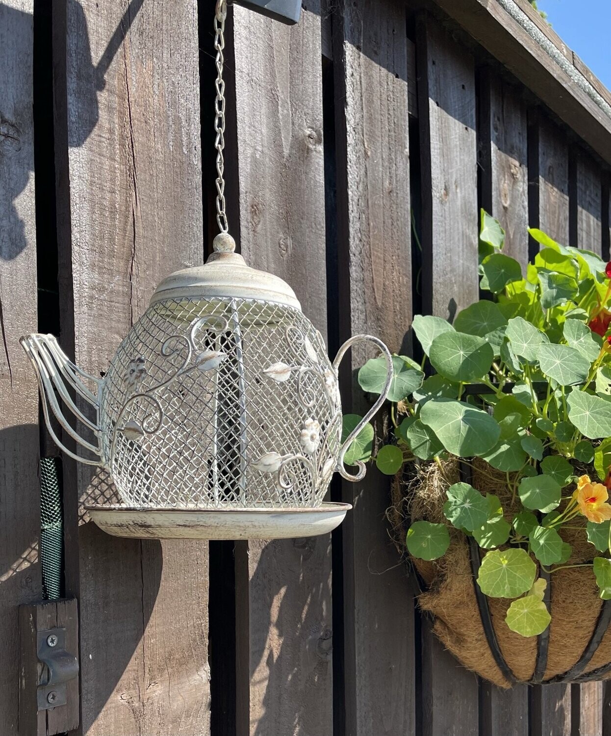 Teapot Birdfeeder