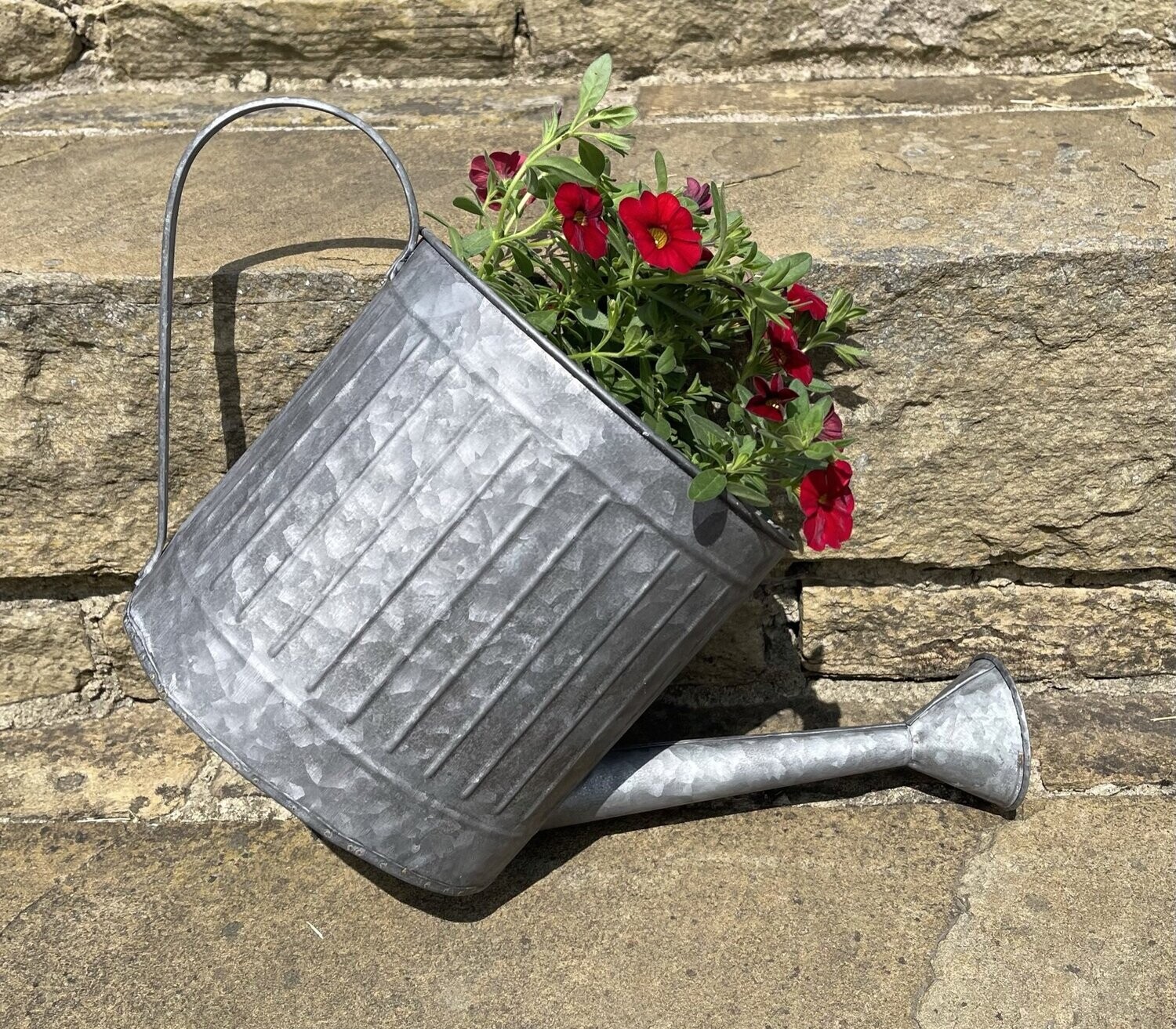 Watering Can Wall Planter