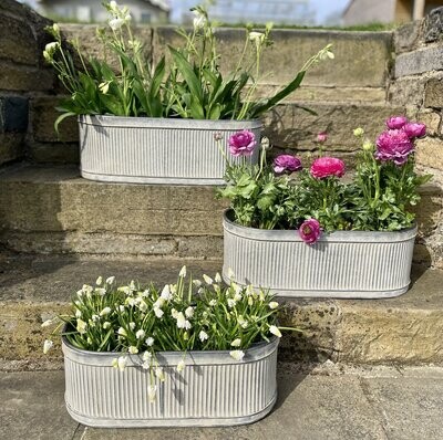 Pots & Planters