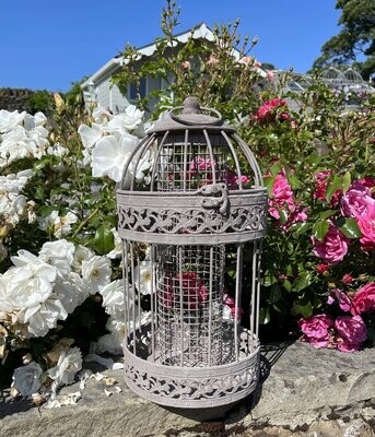 Birds & Wildlife