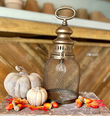 Mesh French Stable Lantern