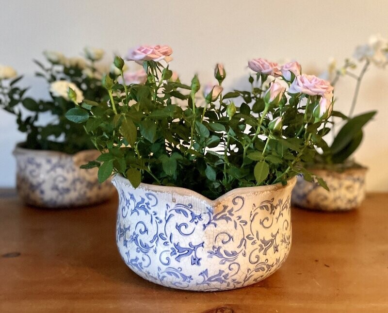 Botanical Planters