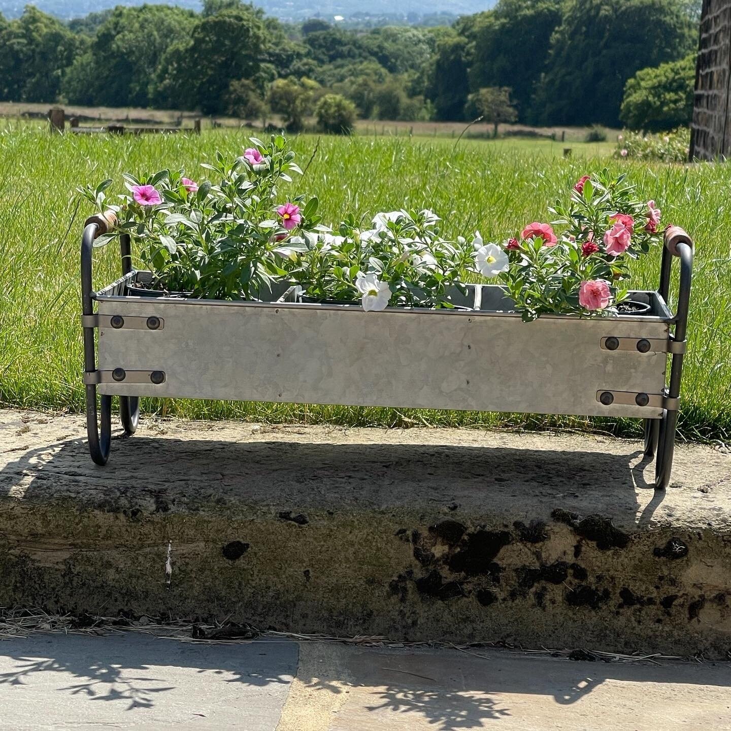 Snuffle Trough