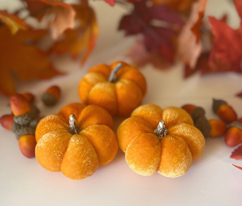 Trio of Velvet Pumpkins