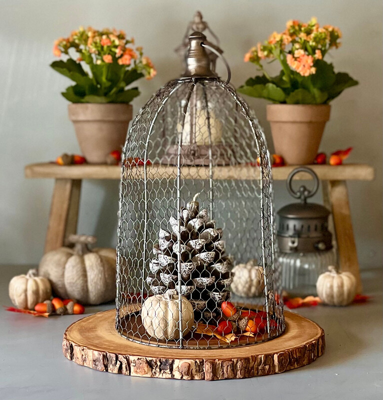 Wire Dome Cloche