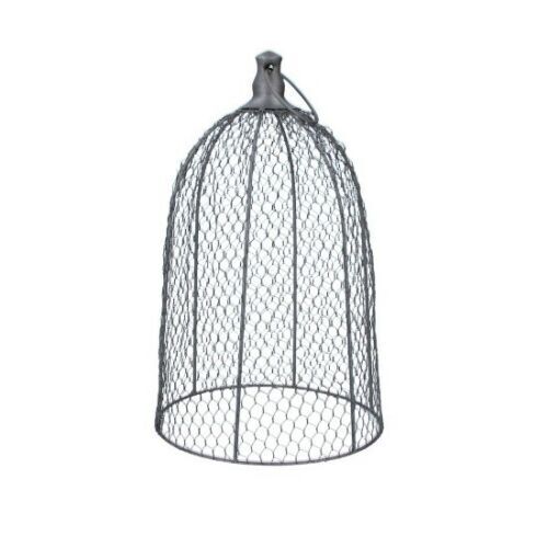 Wire Dome Cloche