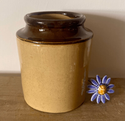 Stoneware Dark Brown Pot