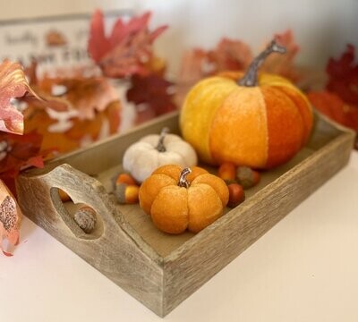 Trays & Displays