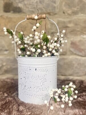 Winter Snowberries