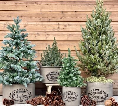 Christmas Planters
