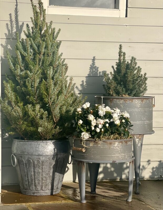 Raised Metal Barrel Planters