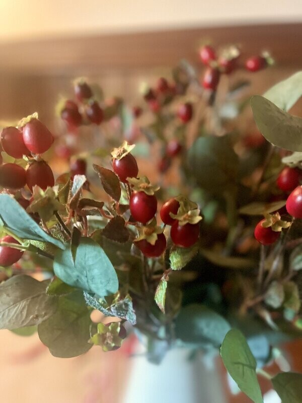Red Rose Hips