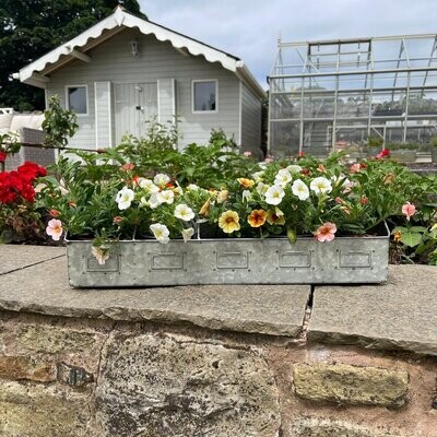 For the Garden