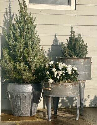 Planters & Pots