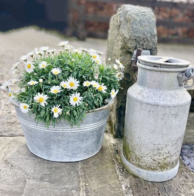 Planters & Pots