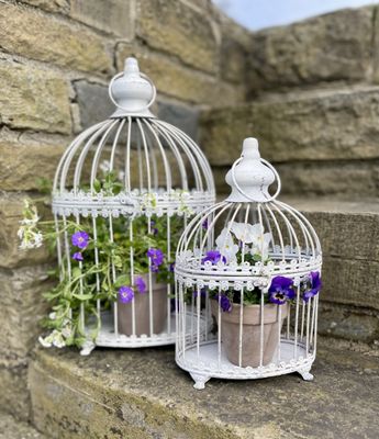 Birdcages & Cloches