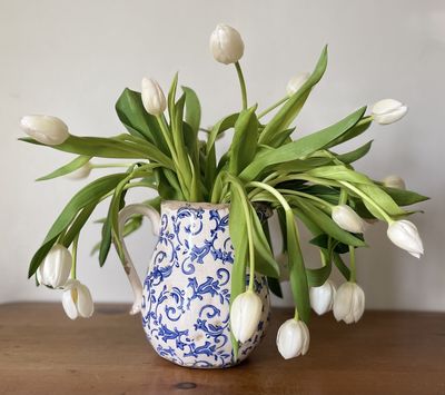 Vases & Jugs